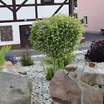Auszeit Ausblick * Geising