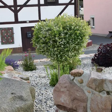 Auszeit Ausblick * Geising